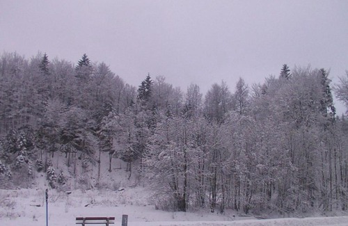 Wisla Bed & Breakfast | Gosciniec Wenecja