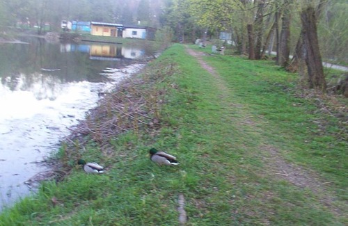 Wisla Bed & Breakfast | Gosciniec Wenecja