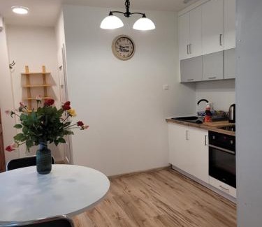 Stare Miasto Apartment | Gotycki Duch