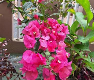 Santo Domingo de los Colorados Apartment | Grande departamento cerca al Shopping y con garage