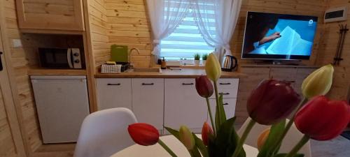 Mszczonow House | Grabska Osada SUN HOUSE - domki całoroczne ogrzewane