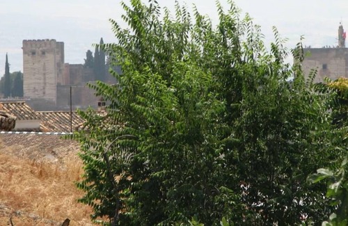 Beiro House | Granada House with terrace and garden