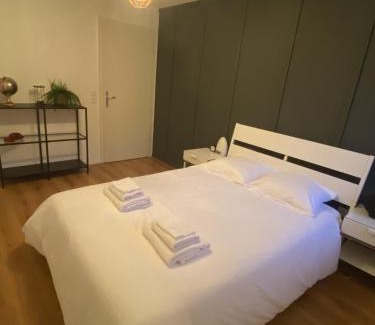Plobsheim Apartment | Grand 2 pièces Eurométropole de Strasbourg proche Europa Park avec terrasse