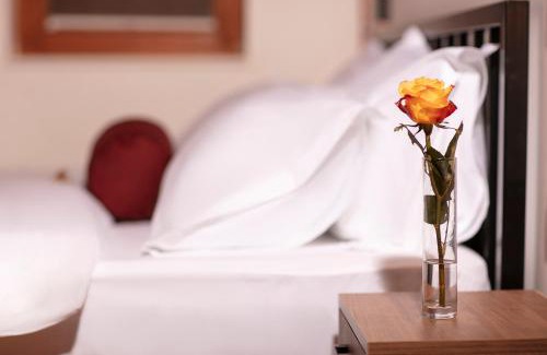 Matiçan Hotel | Grand Boutique Hotel