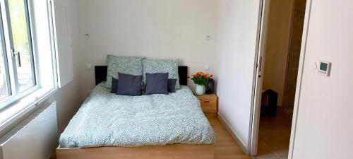 Orleans Apartment | Grand studio parking-bord de Loire- hyper centre