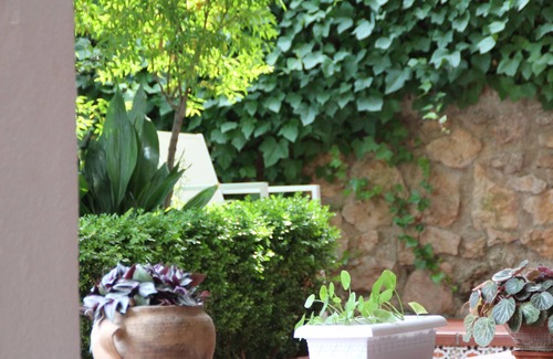 Barrio de la Vega House | Grandmother's Garden