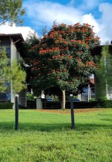 Saire Apartment | GRAVATÁ - FLAT PREMIUM NO MONTE CASTELO - quarto superior com Wi-Fi e netflix