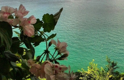 Vitoria Apartment | Great apt! 03 rooms in Corredor da Vitória: the best neighborhood in Salvador!