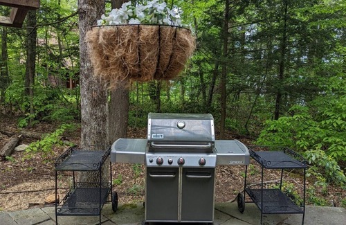Norfolk Cabin | Great Family Cabin in the woods on a lake.
