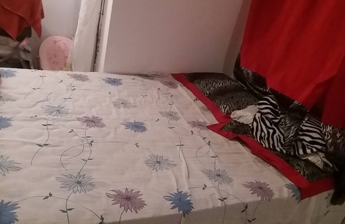 Neopolis House | Great house in Natal RN