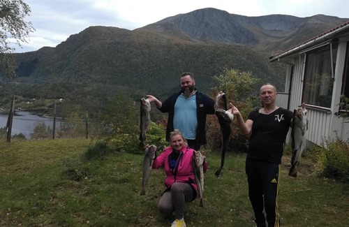 Halsa Municipality House | Great House with a panoramic view