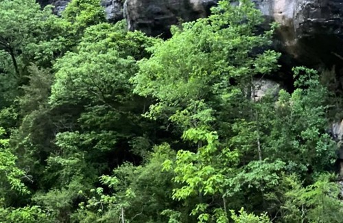 Fifty-Six Cabin | Great Oaks Cabins, Cabin 6