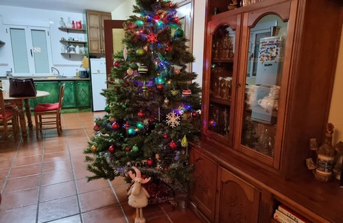 Maello Ski Chalet | Great villa with pool and large garden in urbanization 15 minutes from Avila