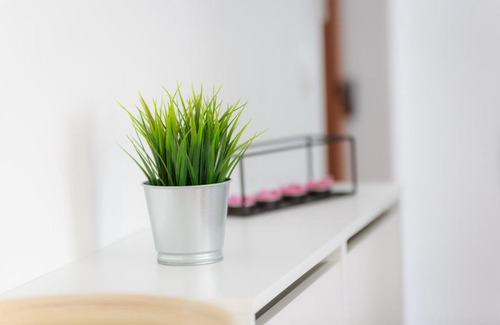 Rijeka Apartment | Green Corner ***