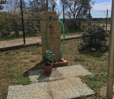 Castiglione della Pescaia Apartment | green holiday