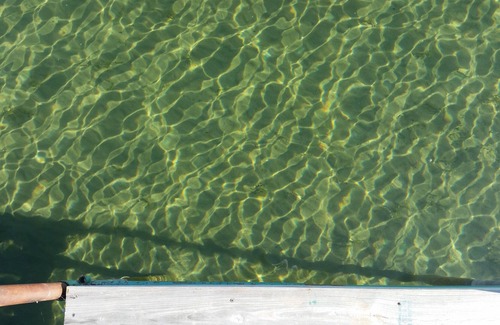 Spicer House | Green Lake North Shore - Great for families!