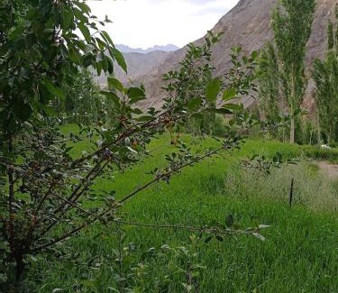 Tingmosgang House | Green Land Guest House Ladakh by LexStays