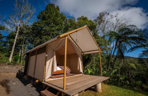 Candikuning Other | Green Lava Lake View Glamping Bedugul By IHM