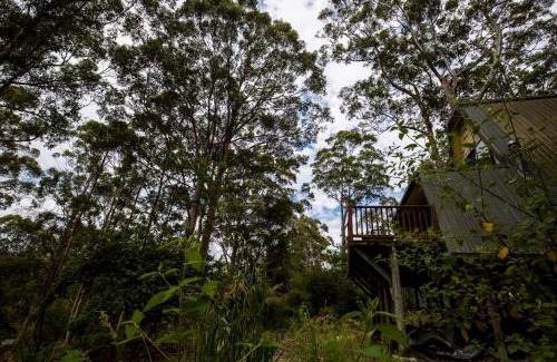 Denmark House | Green Leaves Cabin