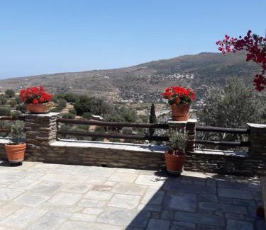 Andros Town Apartment | Green Oasis 2