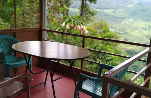 Pallivasal Cottage | Green Paradise Room-3