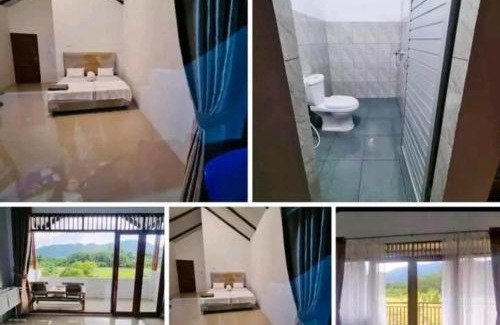 Bukit Lawang Hotel | Green soul guest house only book trekking with us
