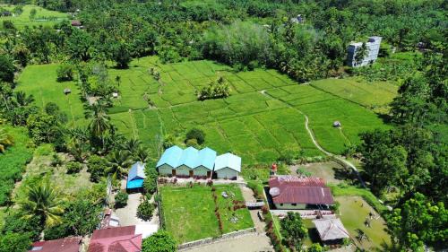 Bukit Lawang Hotel | Green soul guest house only book trekking with us
