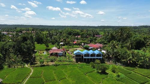 Bukit Lawang Hotel | Green soul guest house only book trekking with us