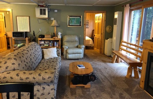 Park Falls Cabin | Green Tree Getaway on the Lake | 2 Bed, 1 Bath