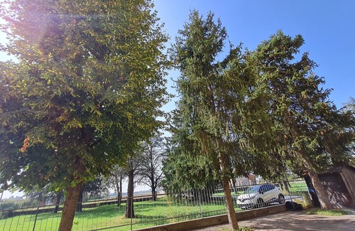 Quarantoli Apartment | Green Valleys B&B Mirandola