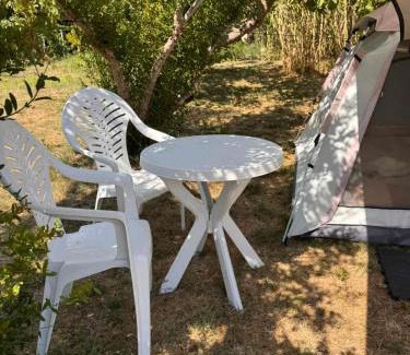 Donji Stoj Other | Greenfield campsite