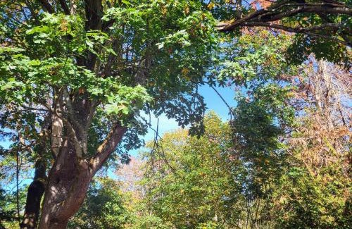 Port Angeles East House | Greentree Pacific House