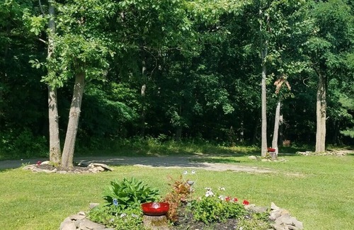 Branchport Cabin | Grey's Getaway Cabin 5 acres, Finger Lake area a little slice of heaven!