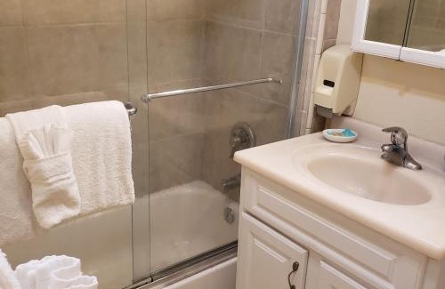 Big Bear Lake Resort | Grey Squirrel Resort