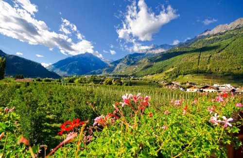 Lagundo Apartment | Grieserhof Algund