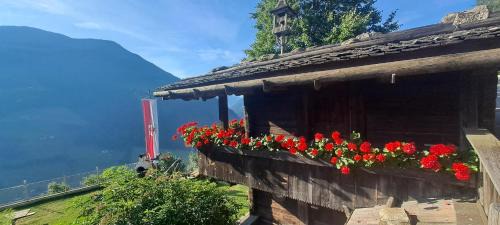 Valle Aurina Apartment | Großstahlhof Mountain & Panorama View