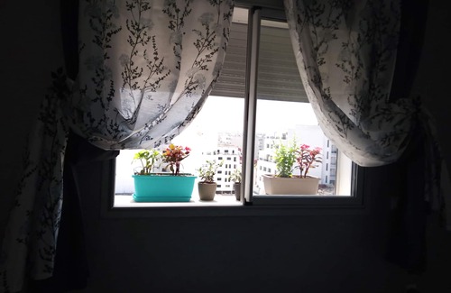 Quartier Des Mimosas Apartment | Guest house beautiful view