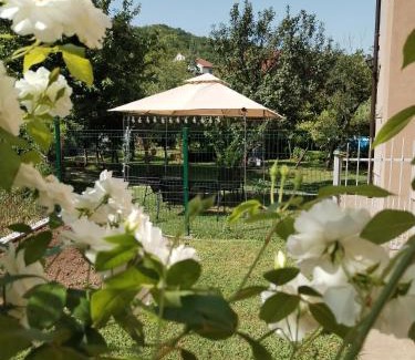 Niska Banja House | Guest House Dimitrije