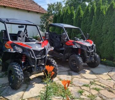 Mesentea House | Guest House Victoria