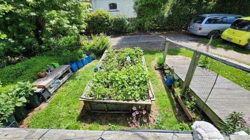 Oamaru Apartment | Guest Suite with private entry own kitchen and bathroom