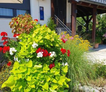 Slunj House | Guesthouse Vila