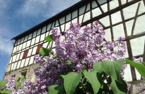 Runkel House | Gut Bunt Ferienhaus