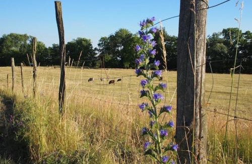 Wustrow House | Gut Pälitzhof