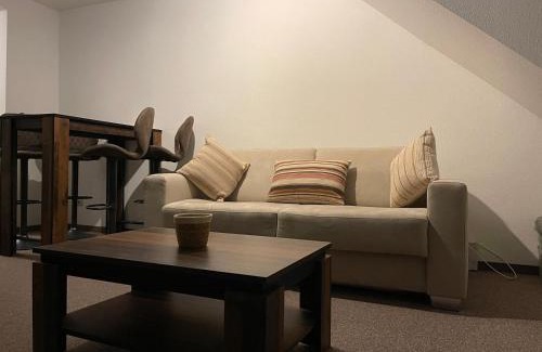 Ost Apartment | Gut und Günstig in Leipzig - zentrumsnah - inkl Fahrräder & Netflix