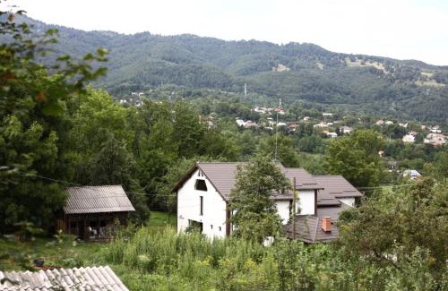 Oestii Paminteni House | Hățașul Bunicului