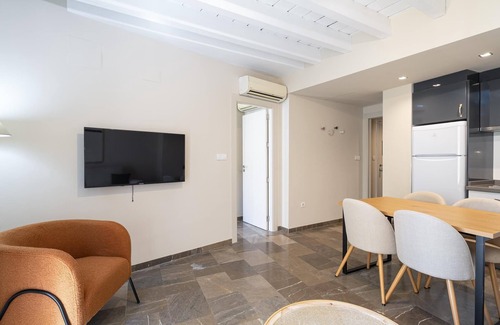 Central District Apartment | H2Granada Solarium Terrace & Pet Friendly