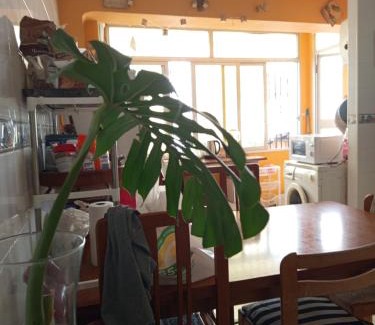 Gandia House | Habítacion privada amplia