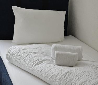 Wilderswil Apartment | Habibi Apartment - Aare Jungfrau AG