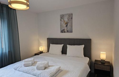 Wilderswil Apartment | Habibi Apartment - Aare Jungfrau AG