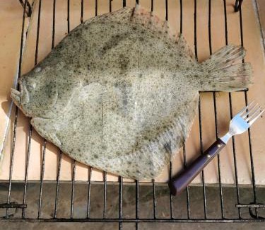 Navia de Suarna Apartment | Habitación Cuadruple con derecho a Barbacoa y patio